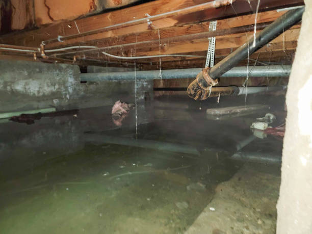 Best Fire Damage Restoration  in Comanche, OK