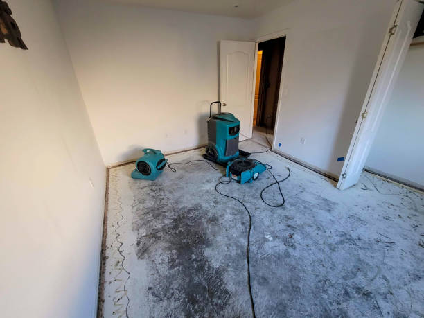 Best Local water damage restoration  in Comanche, OK