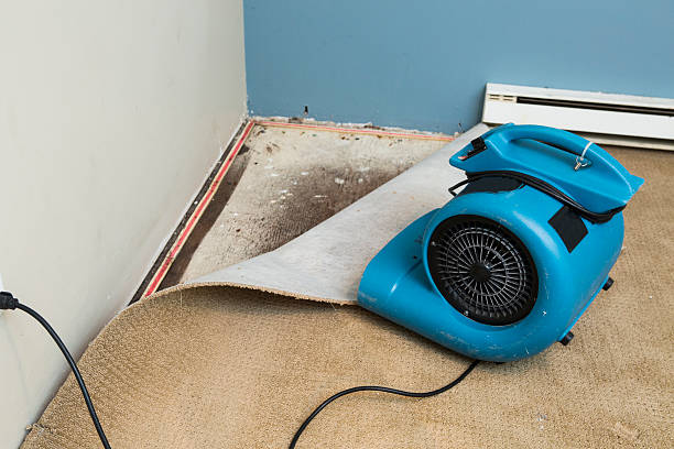 Best Flood restoration services  in Comanche, OK